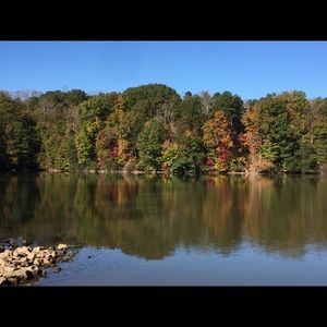 Meet your Posher, Prissy